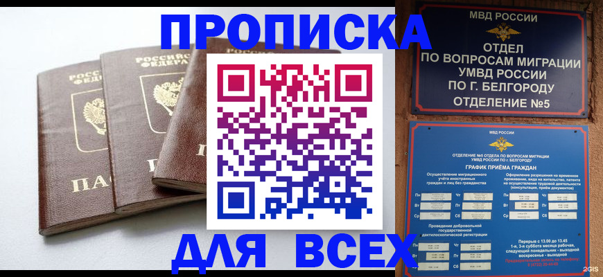 прописка в Бабаево
